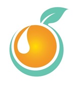 Soraia Ondina Logo Laranja